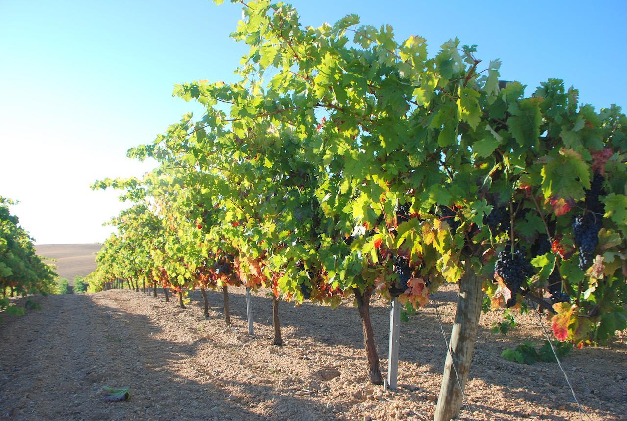 Villamor de los Escuderos Casa Rural Teso De La Encina מראה חיצוני תמונה