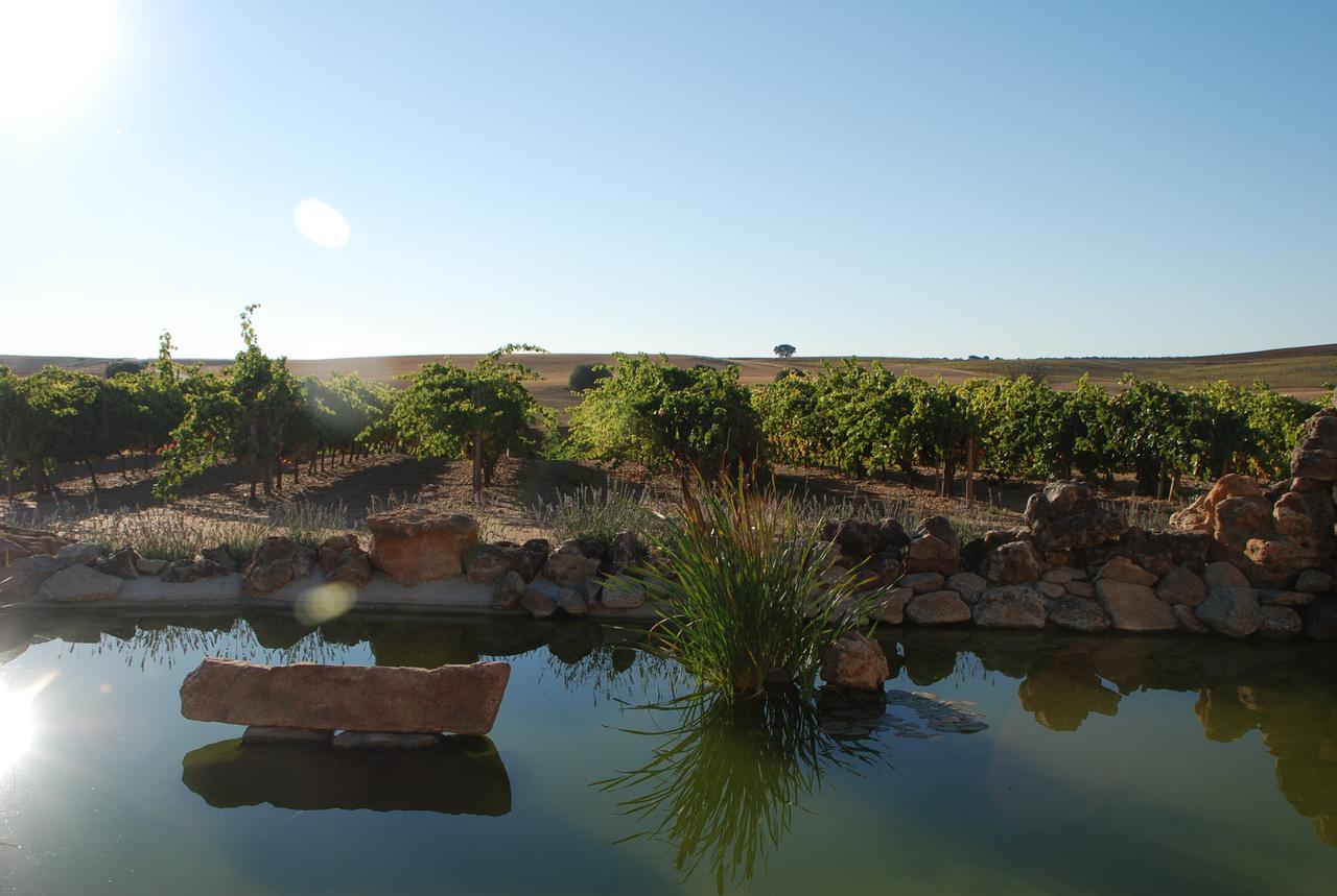 Villamor de los Escuderos Casa Rural Teso De La Encina מראה חיצוני תמונה