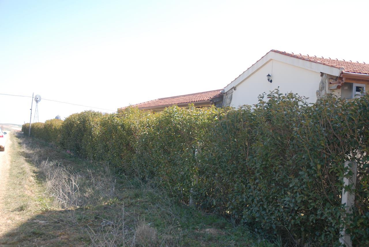 Villamor de los Escuderos Casa Rural Teso De La Encina מראה חיצוני תמונה