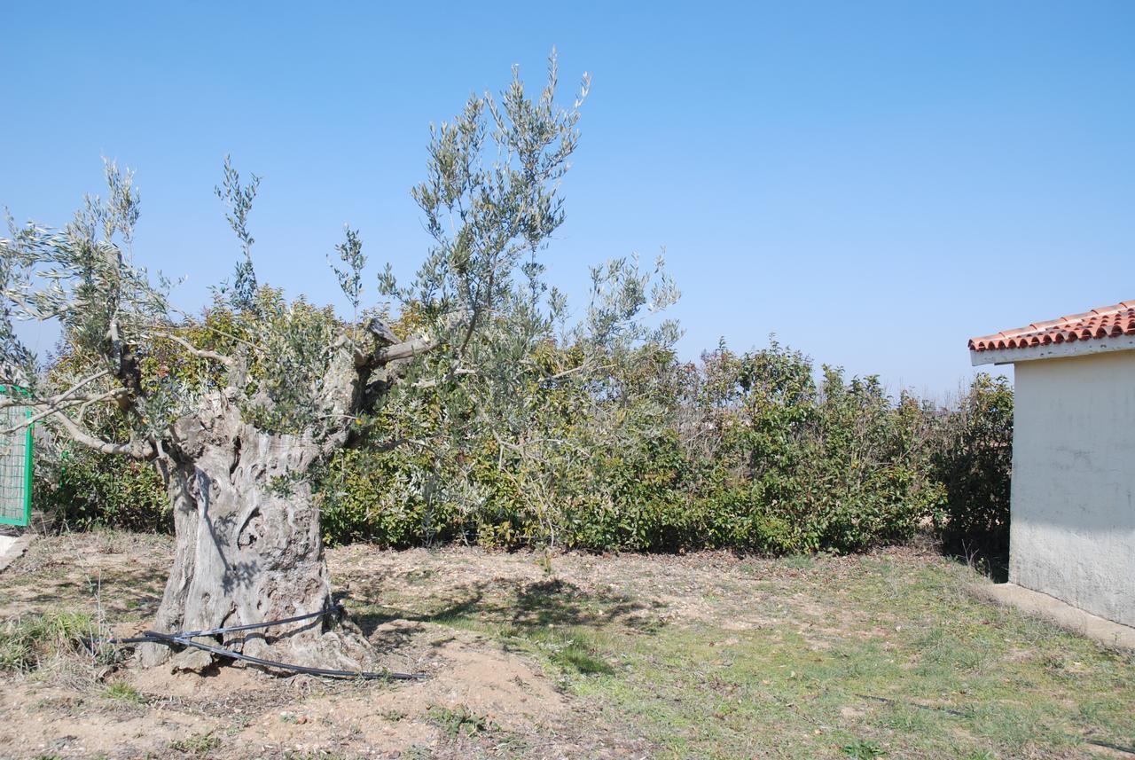 Villamor de los Escuderos Casa Rural Teso De La Encina מראה חיצוני תמונה