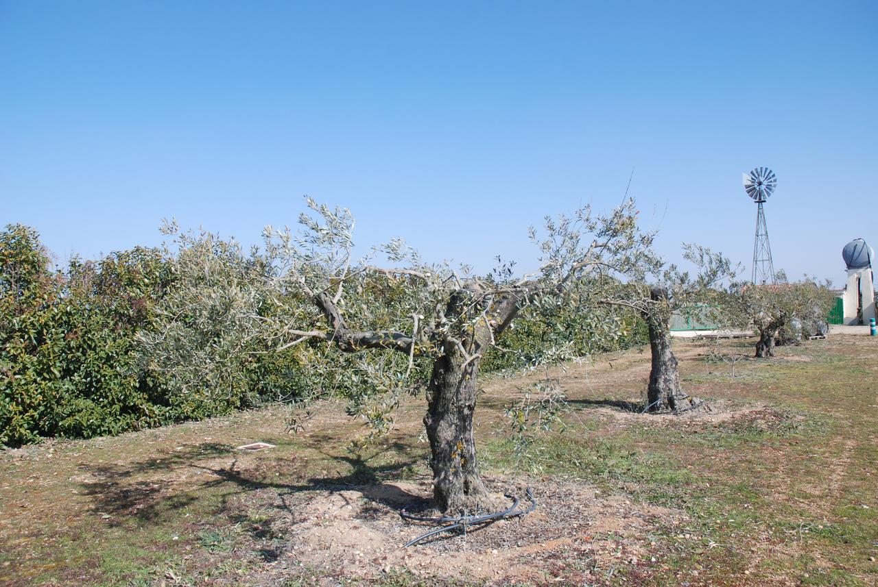 Villamor de los Escuderos Casa Rural Teso De La Encina מראה חיצוני תמונה