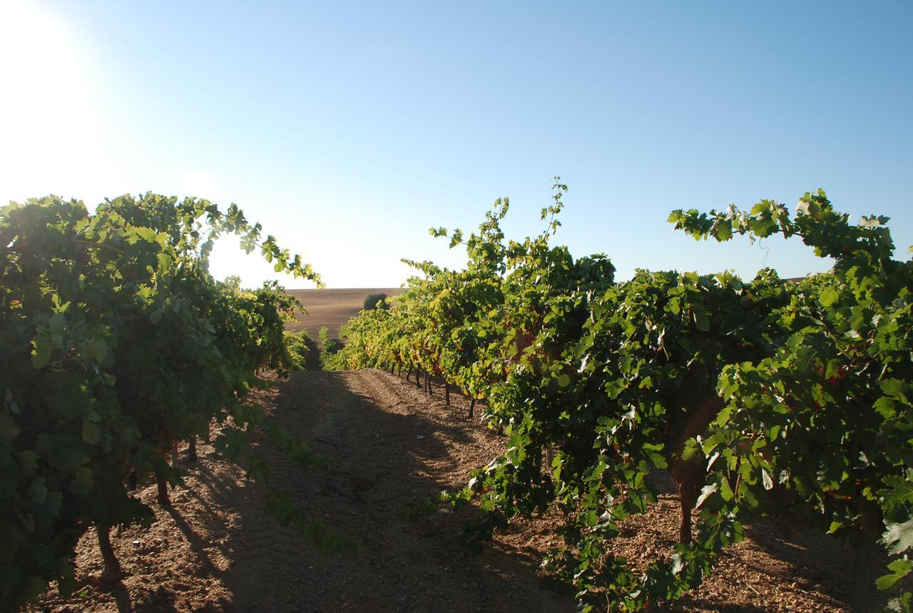 Villamor de los Escuderos Casa Rural Teso De La Encina מראה חיצוני תמונה